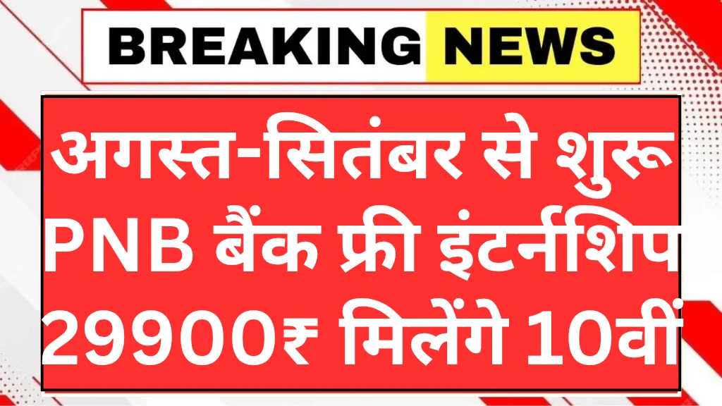 pnb-free-intership-scheme-2025