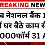 पीएनबी बैंक वर्क फॉर्म होम 2025