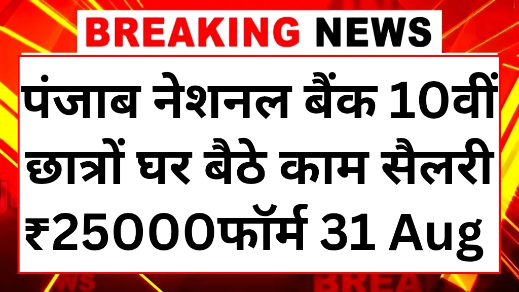 पीएनबी बैंक वर्क फॉर्म होम 2025