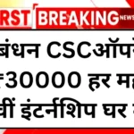 CSC Free Digital Seva Internship 2025